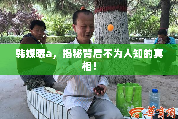 韩媒曝a，揭秘背后不为人知的真相！