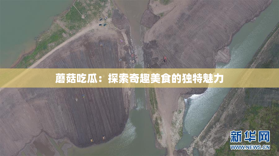 蘑菇吃瓜：探索奇趣美食的独特魅力