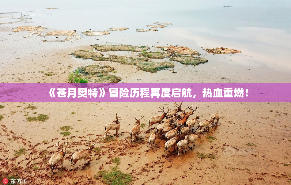《苍月奥特》冒险历程再度启航，热血重燃！