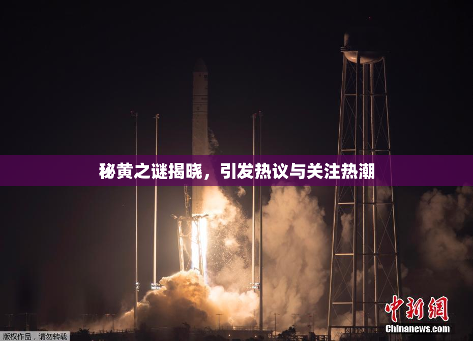 秘黄之谜揭晓，引发热议与关注热潮