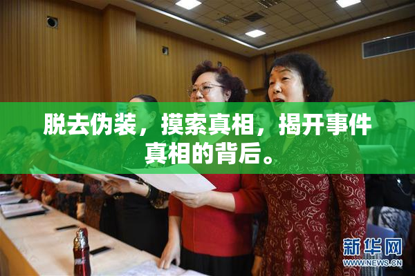 脱去伪装，摸索真相，揭开事件真相的背后。