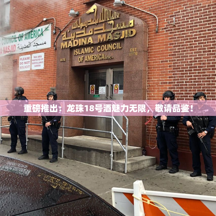 重磅推出：龙珠18号酒魅力无限，敬请品鉴！