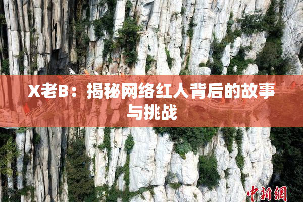 X老B：揭秘网络红人背后的故事与挑战