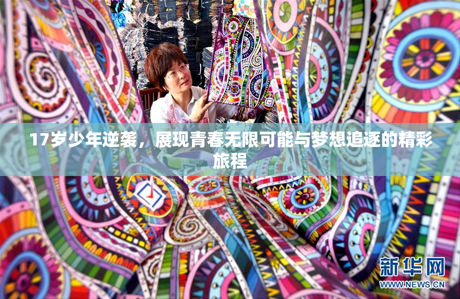 17岁少年逆袭，展现青春无限可能与梦想追逐的精彩旅程