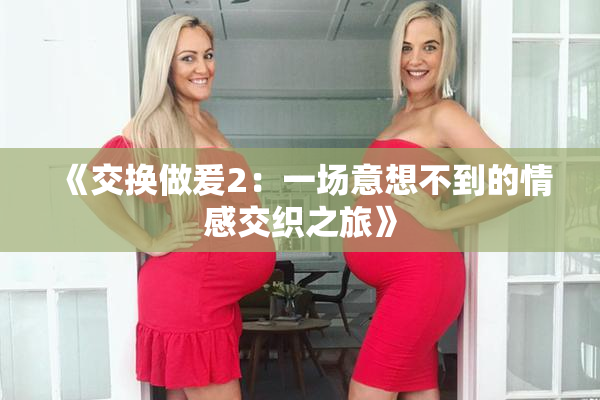 《交换做爰2：一场意想不到的情感交织之旅》