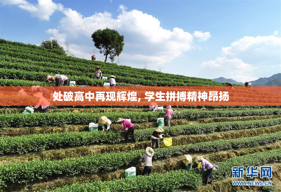 处破高中再现辉煌, 学生拼搏精神昂扬