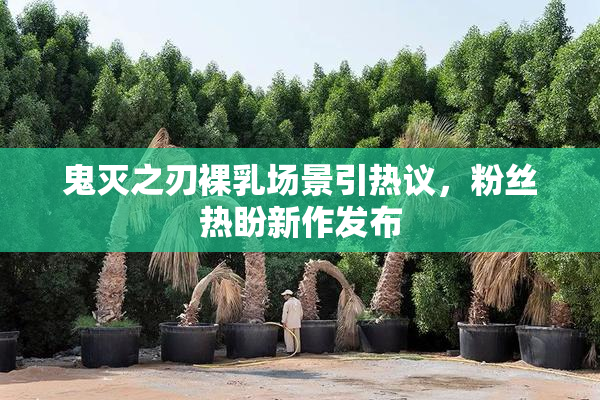鬼灭之刃裸乳场景引热议，粉丝热盼新作发布