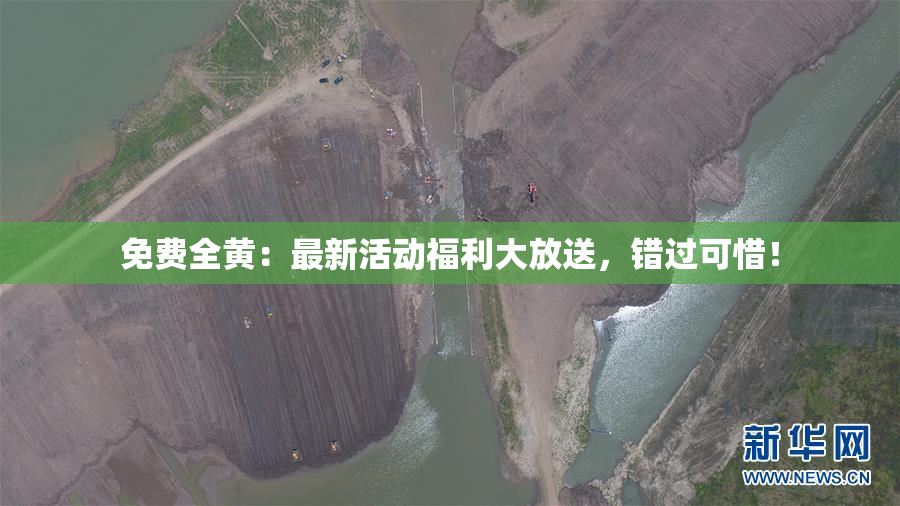 免费全黄：最新活动福利大放送，错过可惜！