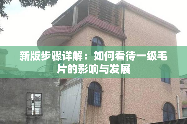 新版步骤详解：如何看待一级毛片的影响与发展