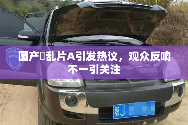 国产婬乱片A引发热议，观众反响不一引关注