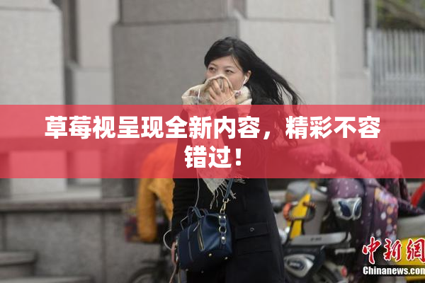 草莓视呈现全新内容，精彩不容错过！