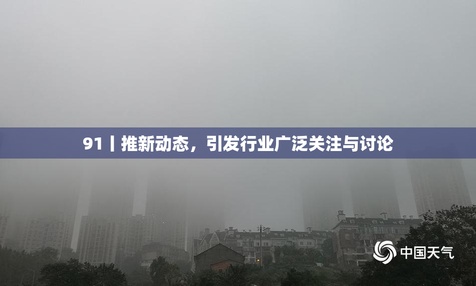 91丨推新动态，引发行业广泛关注与讨论