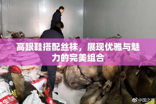 高跟鞋搭配丝袜，展现优雅与魅力的完美组合