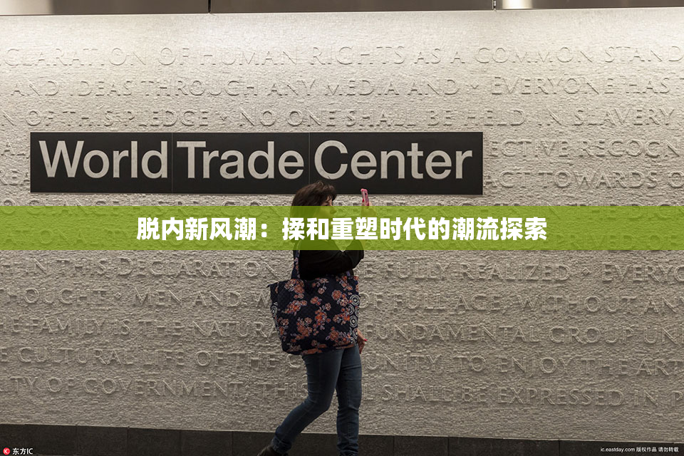 脱内新风潮：揉和重塑时代的潮流探索