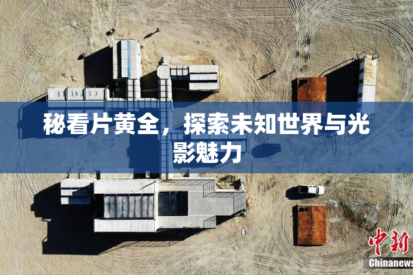 秘看片黄全，探索未知世界与光影魅力