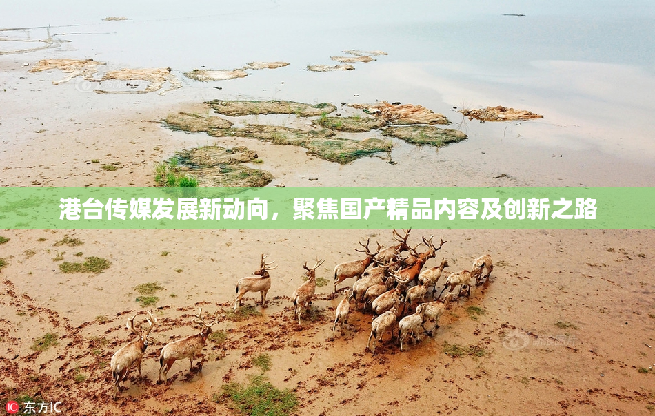 港台传媒发展新动向，聚焦国产精品内容及创新之路