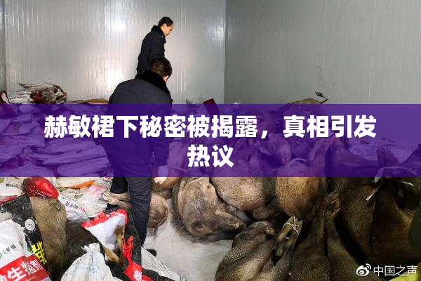 赫敏裙下秘密被揭露，真相引发热议