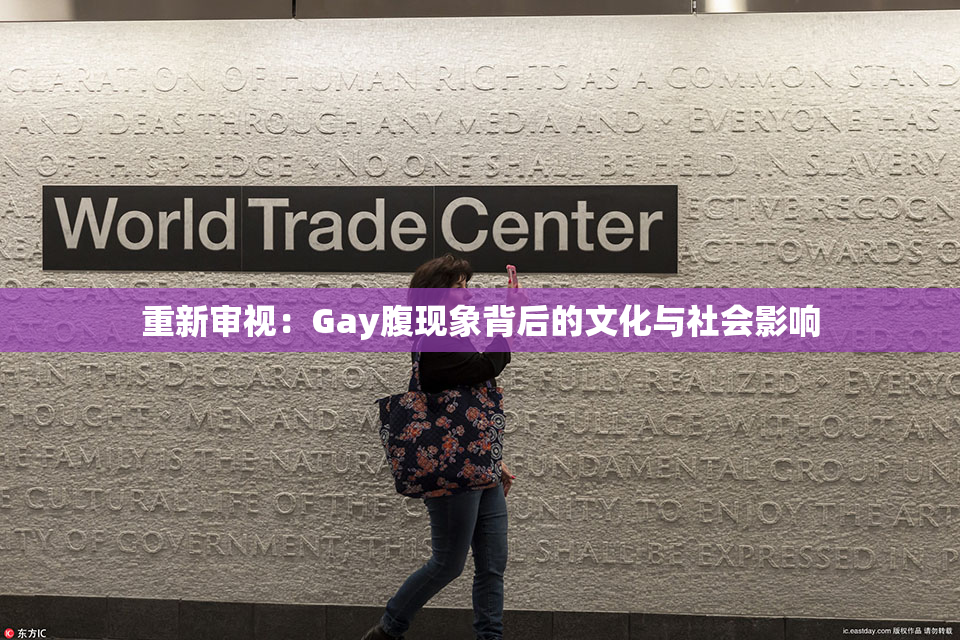 重新审视：Gay腹现象背后的文化与社会影响
