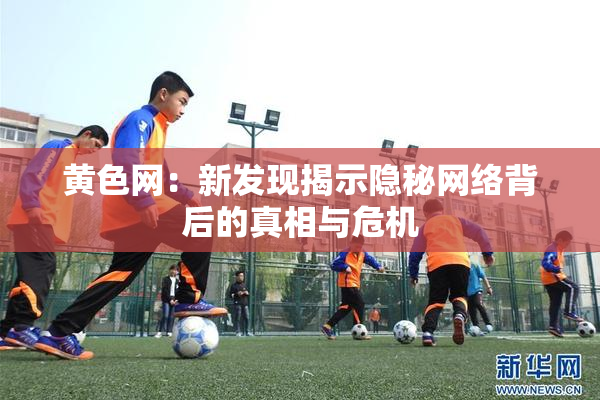 黄色网：新发现揭示隐秘网络背后的真相与危机