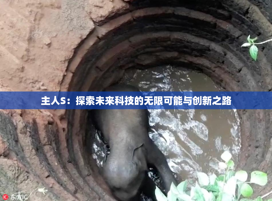 主人S：探索未来科技的无限可能与创新之路