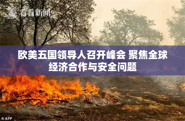 欧美五国领导人召开峰会 聚焦全球经济合作与安全问题