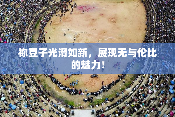 祢豆子光滑如新，展现无与伦比的魅力！