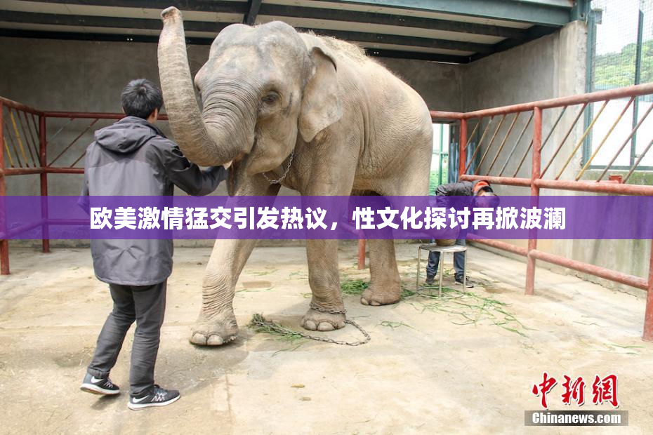 欧美激情猛交引发热议，性文化探讨再掀波澜
