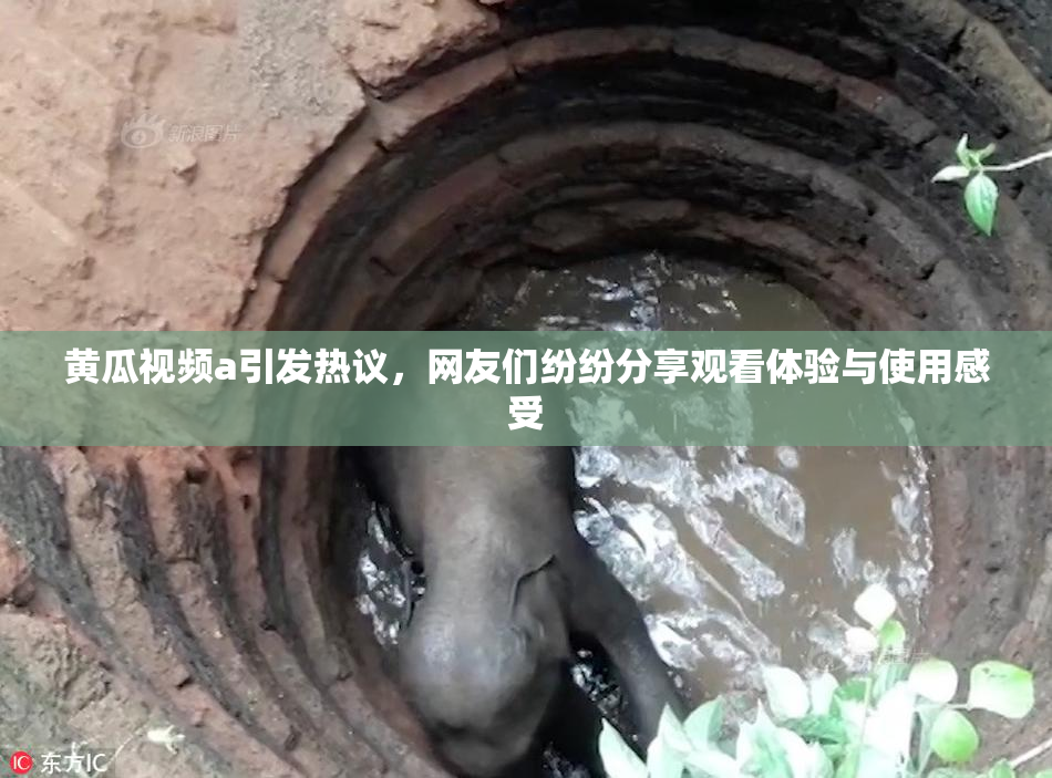 黄瓜视频a引发热议，网友们纷纷分享观看体验与使用感受
