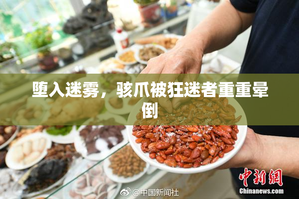 堕入迷雾，骇爪被狂迷者重重晕倒