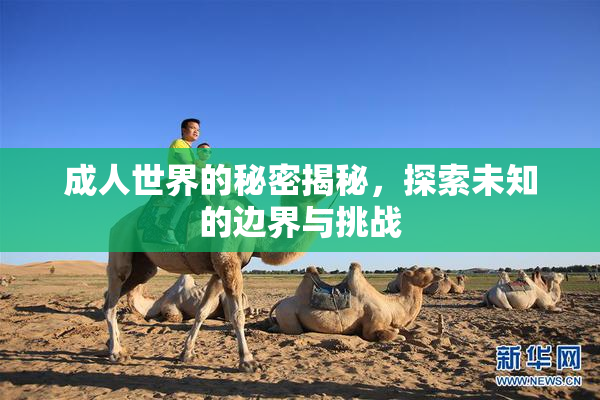 成人世界的秘密揭秘，探索未知的边界与挑战