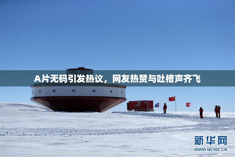 A片无码引发热议，网友热赞与吐槽声齐飞