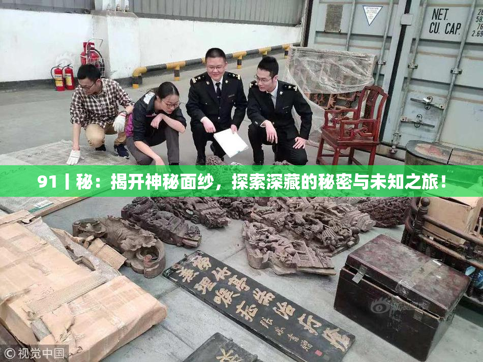91丨秘：揭开神秘面纱，探索深藏的秘密与未知之旅！