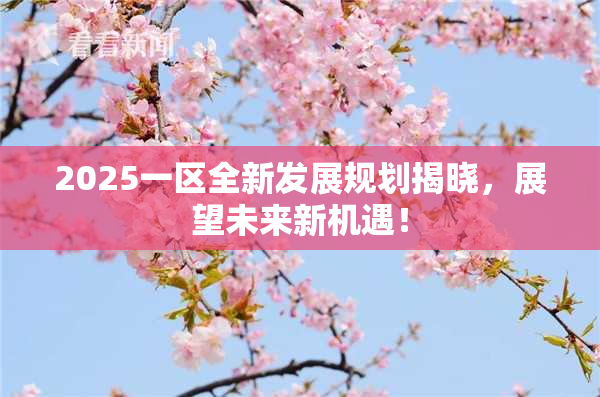 2025一区全新发展规划揭晓，展望未来新机遇！