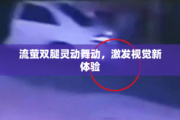 流萤双腿灵动舞动，激发视觉新体验