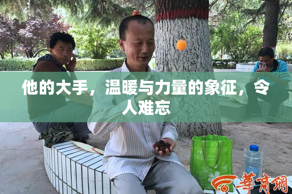 他的大手，温暖与力量的象征，令人难忘