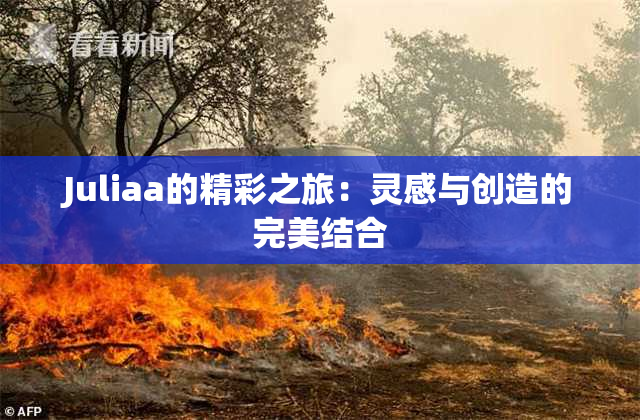 Juliaa的精彩之旅：灵感与创造的完美结合