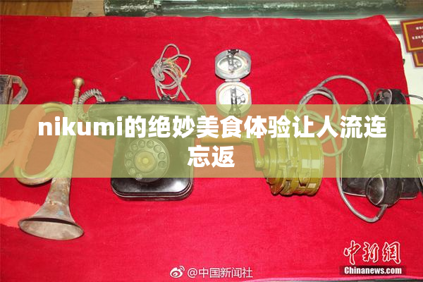 nikumi的绝妙美食体验让人流连忘返