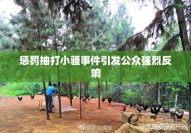 惩罚抽打小骚事件引发公众强烈反响