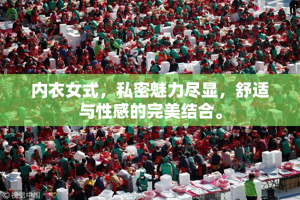 内衣女式，私密魅力尽显，舒适与性感的完美结合。