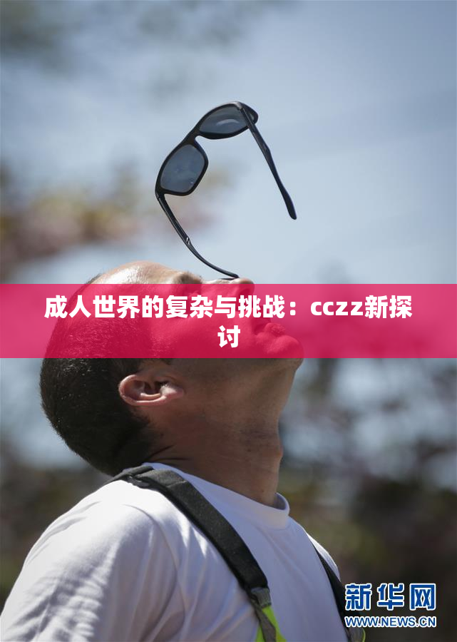 成人世界的复杂与挑战：cczz新探讨