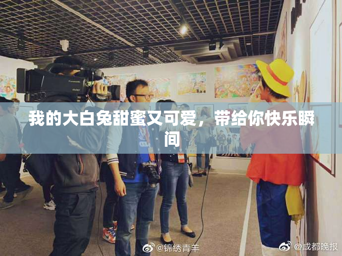 我的大白兔甜蜜又可爱，带给你快乐瞬间