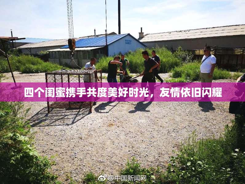 四个闺蜜携手共度美好时光，友情依旧闪耀