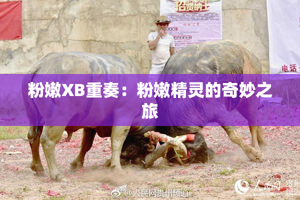 粉嫩XB重奏：粉嫩精灵的奇妙之旅