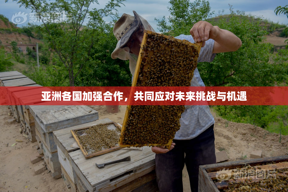 亚洲各国加强合作，共同应对未来挑战与机遇