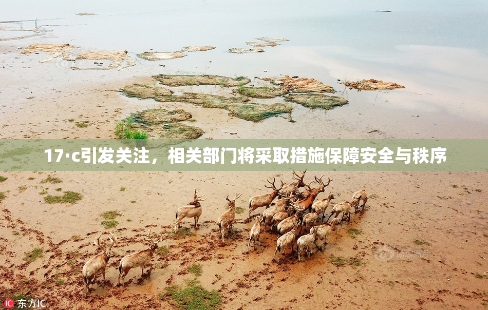 17·c引发关注，相关部门将采取措施保障安全与秩序