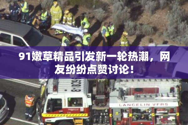 91嫩草精品引发新一轮热潮，网友纷纷点赞讨论！