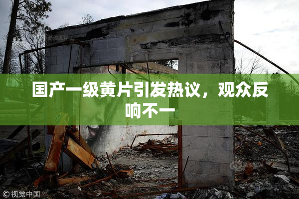 国产一级黄片引发热议，观众反响不一