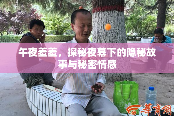 午夜羞羞，探秘夜幕下的隐秘故事与秘密情感