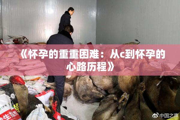 《怀孕的重重困难：从c到怀孕的心路历程》