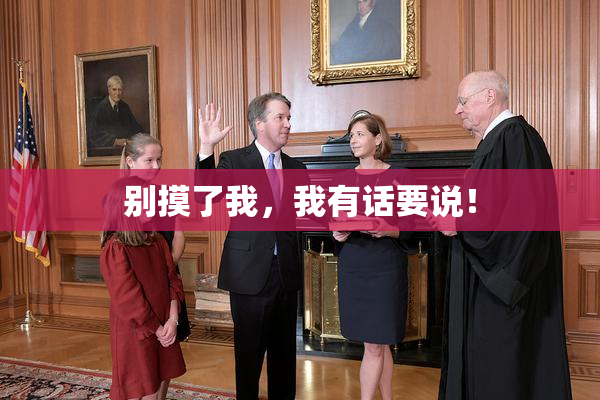 别摸了我，我有话要说！